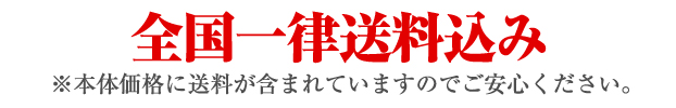 一律送料込み