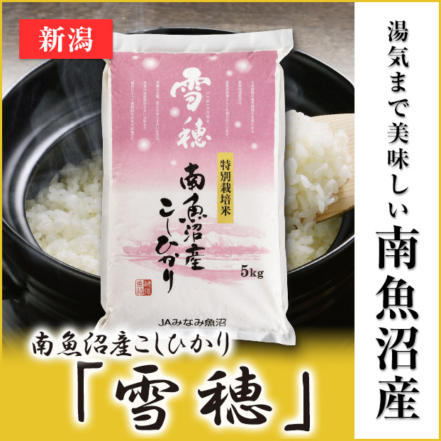 通販　コシヒカリ　令和5年大多喜町10kg