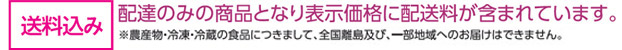 送料込み