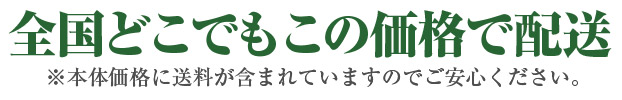 一律送料込み